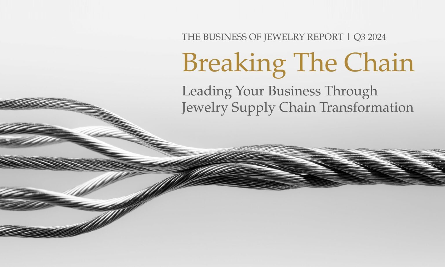 Hill & Co. Launches Inaugural ‘Business of Jewelry’ Report hill co