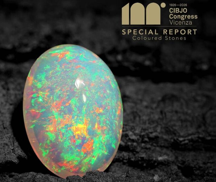 CIBJO Report Addresses Terminology for Coloured Gemstones fifth cibjox 1